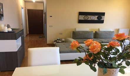 bellissimo appartamento di 2 locali oltre servizi - strepitosa vista lago - terrazzo - box