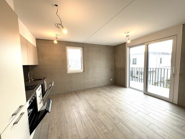 Mendrisio, APPARTAMENTO DI 2,5 LOCALI CON BALCONE - CERCASI SUBENTRANTE
